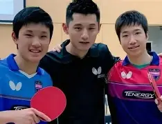 英国乒乓球队险胜德国乒乓球队，水谷隼绝境逆转的简单介绍
